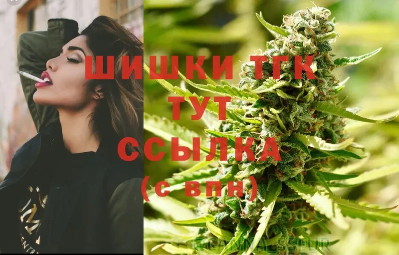 Конопля SATIVA & INDICA  Лахденпохья 